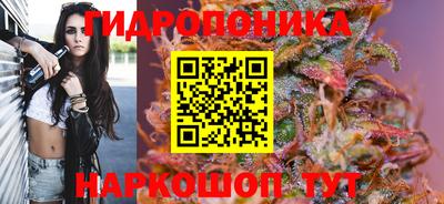 jwh Славгород