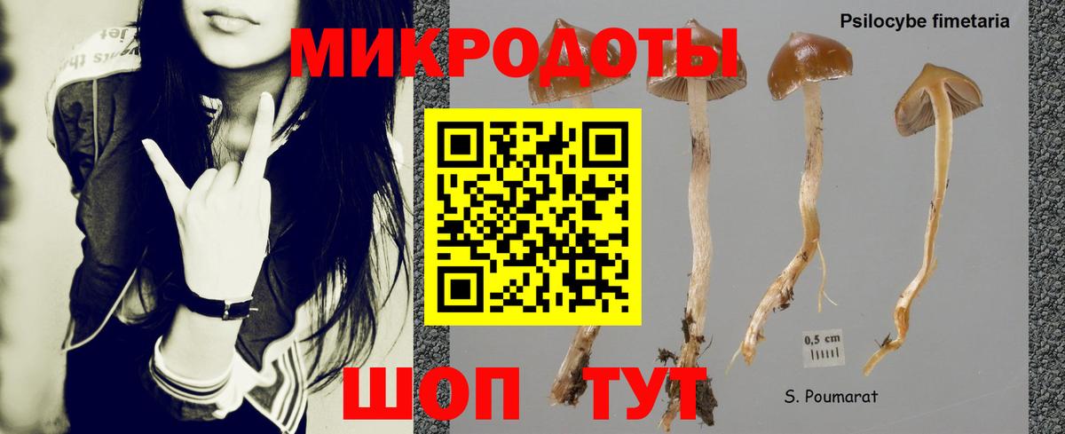Белгород  Псилоцибиновые грибы GOLDEN TEACHER  Вход с VPN  Галлюциногенные грибы прущие грибы 