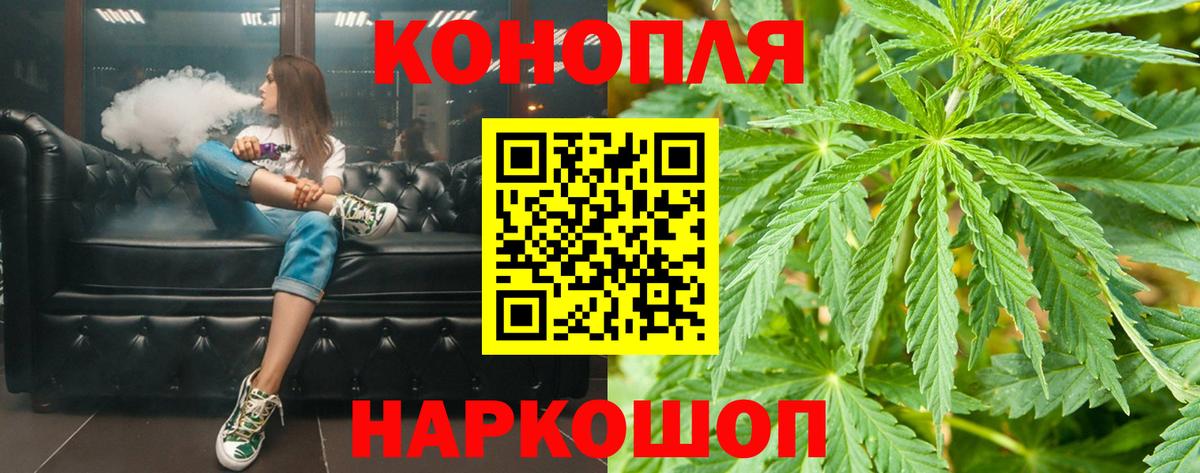 Бошки Шишки MAZAR Белгород